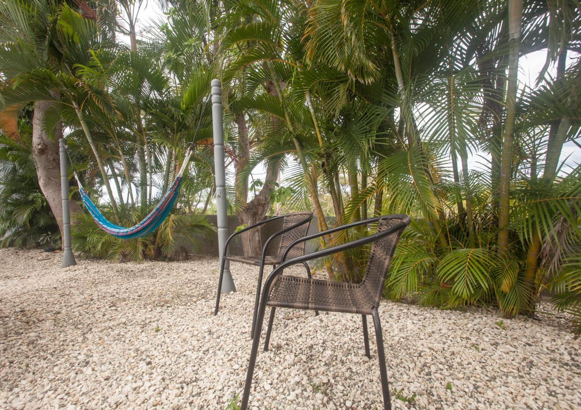 Casa Loba Suite 4 With Private Pool Rincon Buitenkant foto