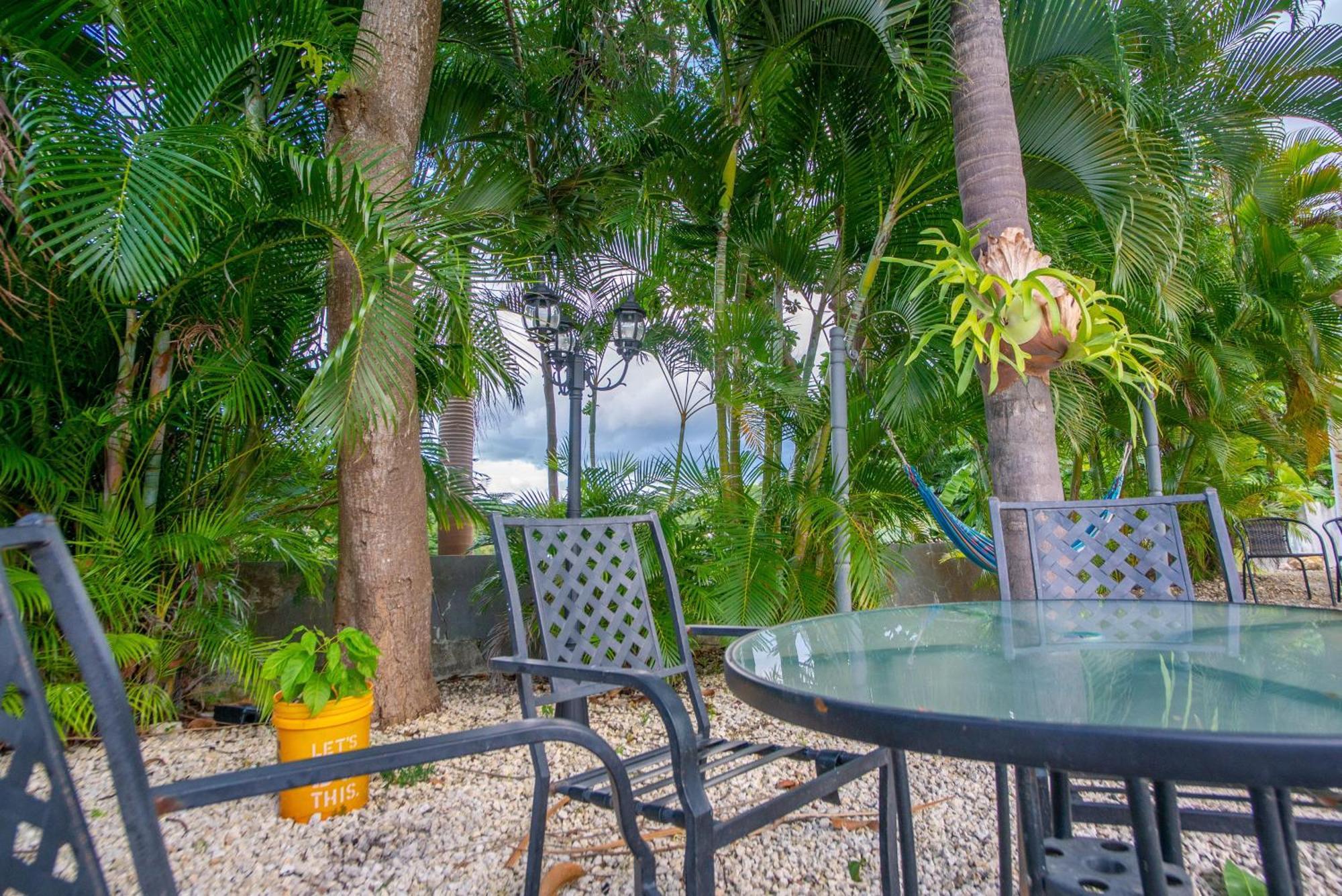 Casa Loba Suite 4 With Private Pool Rincon Buitenkant foto
